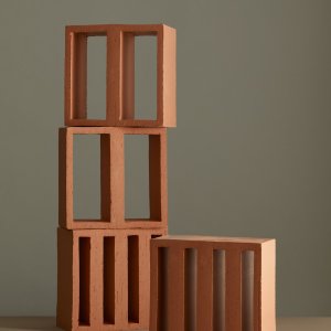 Tally の壁を透かして落ちる光