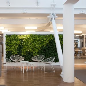 ホームオフィスのデスク前のLeafチェア（アルペール）