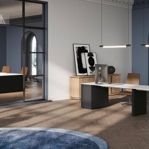 Loftサービスキャビネットの30度エレメント