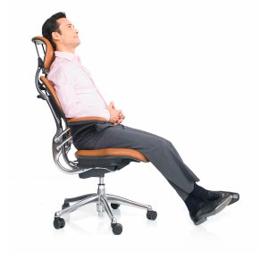 役員デスクの前のHumanscale Freedom