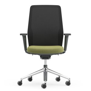 張地の背 Soft の Duo