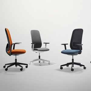 黒いフレームとメッシュの背もたれの Skate Active