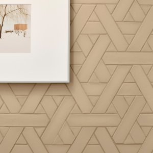 Weavingコレクションの五つの自然マット色